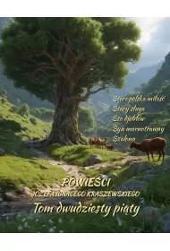 eBook Powieci Jzefa Ignacego Kraszewskiego. Tom 25 mobi epub