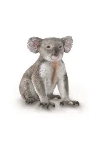 Mi� koala