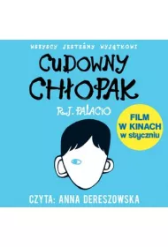 Cudowny chopak audiobook CD
