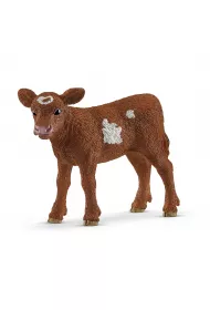 Texas longhorn ciel�