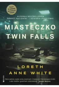 Miasteczko Twin Falls