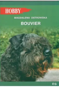 Bouvier