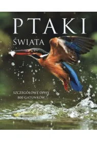 Ptaki �wiata