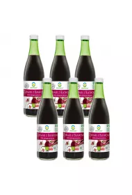 Bio Food Zakwas z burakw 100% kiszony Zgrzewka 6 x 500 ml Bio