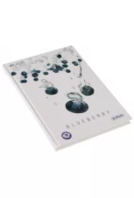 Herlitz Zeszyt A5 Fruits kratka 96 kartek