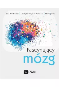Fascynuj�cy m�zg