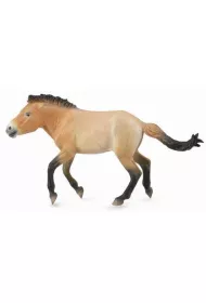 Ogier przewalski