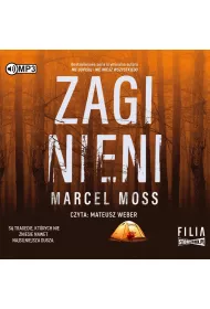 Audiobook Zaginieni. Echo. Tom 2 CD