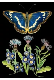 Madame Treacle Karnet B6 z kopert� Niebieski motyl