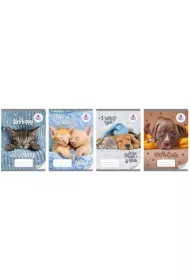 Beniamin Zeszyt A5 The sweet pets trzy linie 16 kartek 20 szt.
