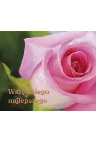 Wszystkiego najlepszego. Pere�ka