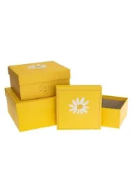 Pude�ko kwadrat 3 szt ��ty ROZETTE