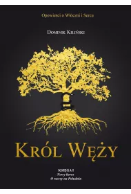 Kr�l W�y. Ksi�ga I: Nowy heros. O rzeczy na Po�udniu