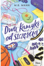 Dwa kamyki od szcz�cia