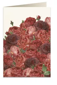 Tassotti Karnet B6 + koperta 7523 Czerwone r�e