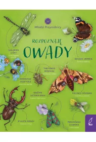 Rozpoznaj owady. Modzi Przyrodnicy
