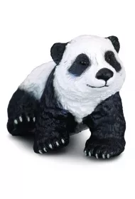 Nied�wiadek pandy wielkiej siedz�cy