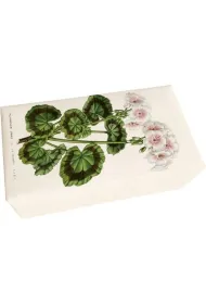 Myd�o zapach pelargonii 200g
