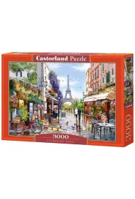 Puzzle 3000 el. Fowering Paris Castorland