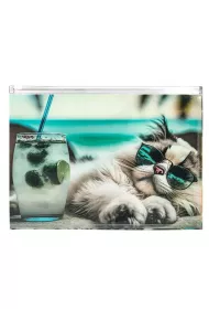 Panta Plast Koperta A4 PP z nadrukiem zip Chillout Cat