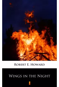 eBook Wings in the Night mobi epub