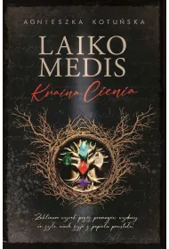 Audiobook Kraina Cienia mp3