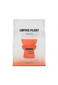 Coffee Plant Kawa ziarnista Etiopia Sidamo Washed Filter 250 g