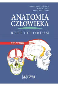 Anatomia cz�owieka. Repetytorium. �wiczenia