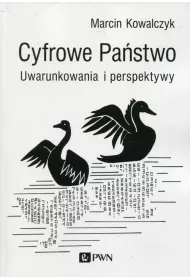 eBook Cyfrowe Pastwo. Uwarunkowania i perspektywy mobi epub