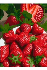 Qbee Malowanie po numerach - S�odka truskawka 30x40cm