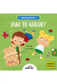 Odkrywam wiat. Jaki to kolor?