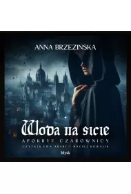 Audiobook Woda na sicie mp3