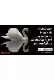 Bogulandia Magnes na lod�wk� - Codziennie budz� si� pi�kniejsza?