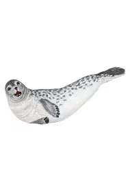 Foka