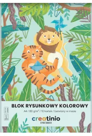 Top-2000 Blok rysunkowy Creatinio A4 kolorowy 10 kartek