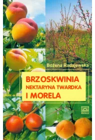 Brzoskwinia, nektaryna twardka i morela