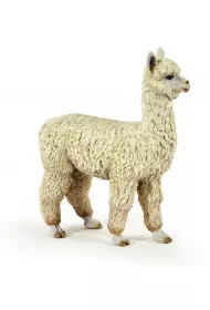 Alpaka