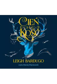 Audiobook Cie i ko. Trylogia Grisza. Tom 1 mp3