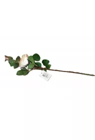 Adar R�a piankowa 53cm