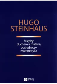 Mi�dzy duchem a materi� po�redniczy matematyka