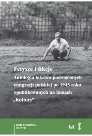 eBook Fetysze i fikcje pdf