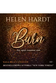 Audiobook Burn mp3