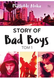 Story of Bad Boys. Tom 1