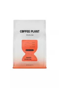 Coffee Plant Kawa ziarnista Rwanda Gishyita Washed Filter 250 g