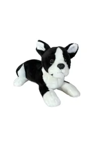 Pies boston terrier le��cy 28cm Dubi