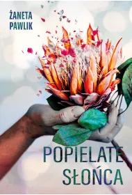 Popielate s�o�ca