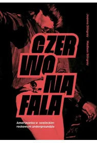 Czerwona fala. Amerykanka w rockowym radzieckim undergroundzie