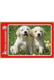 Puzzle w ramce z kolorowank�. Szczeniaczki MD Creative