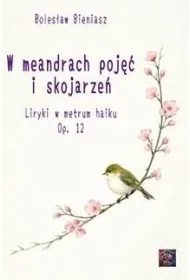W meandrach poj�� i skojarze�