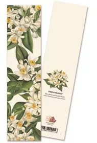 Tassotti Zakadka do ksiki 9114 Fiori D'arancio Kwiat